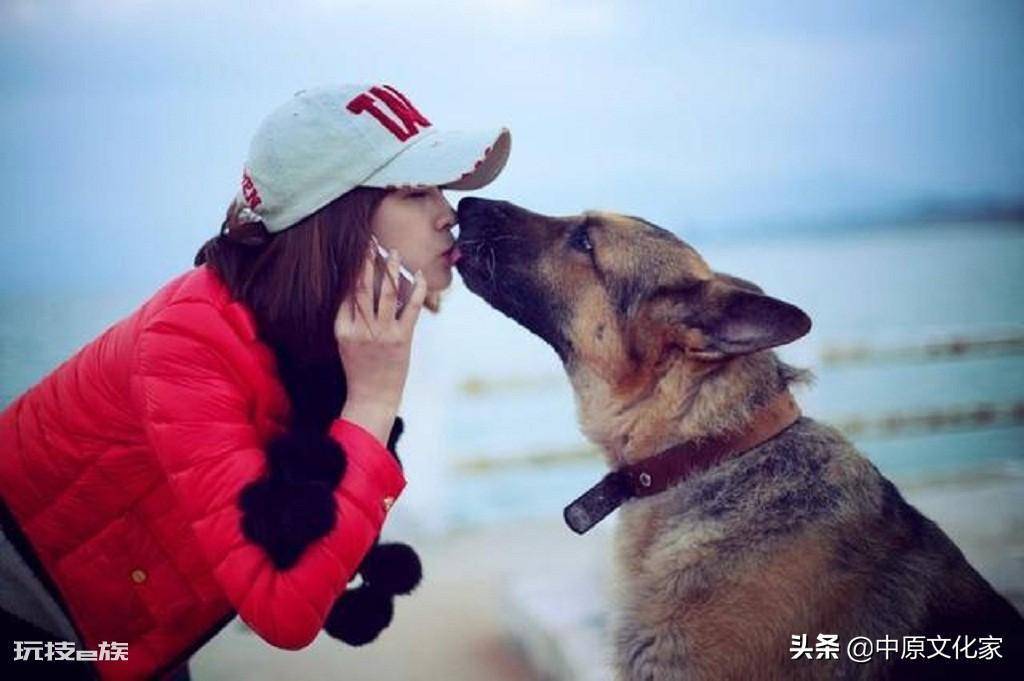 男不养猫女不养狗的说法(这个说法有科学依据吗)-图片6